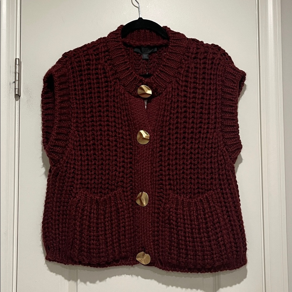 Zara Burgundy Chunky Knit Sweater Vest